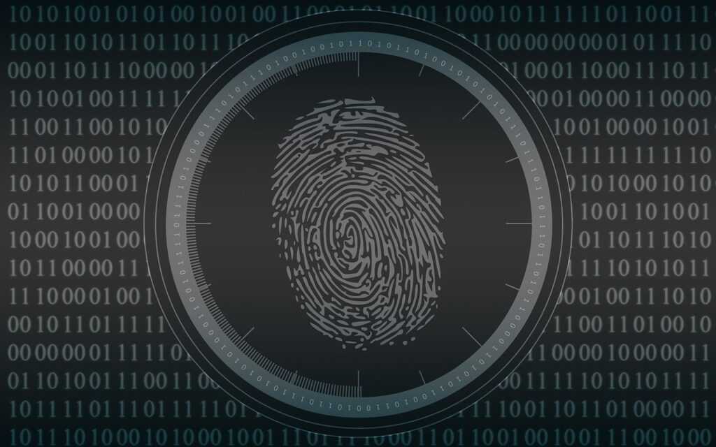 biometrics, fingerprint, security